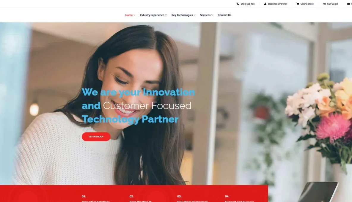 Screenshot of the In2Networks website, designed and built by Synex Studio
